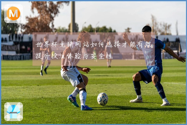 世界杯竞猜网站如何选择才能有效提升投注体验与安全性