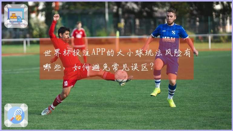 世界杯投注APP的大小球玩法风险有哪些，如何避免常见误区？