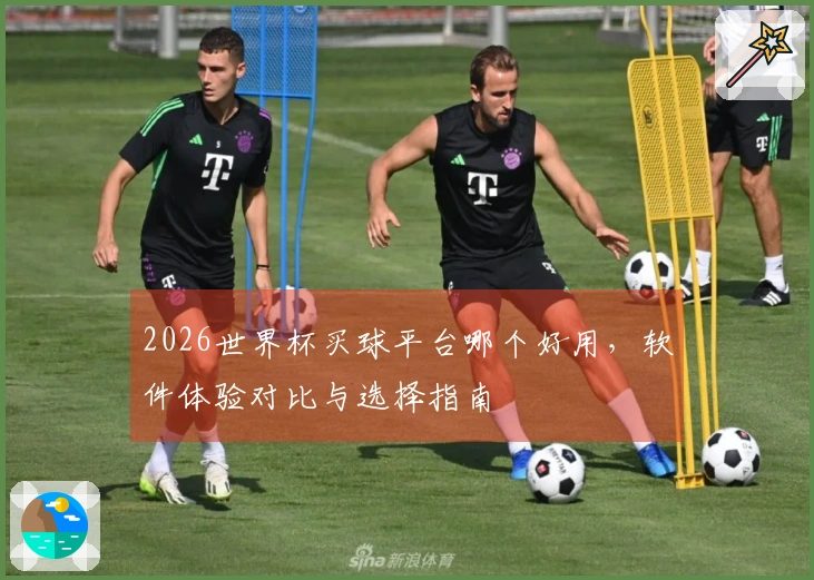 2026世界杯买球平台哪个好用，软件体验对比与选择指南