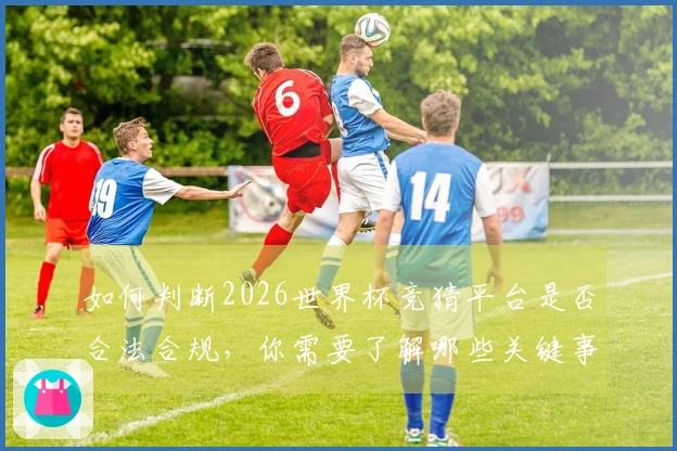 如何判断2026世界杯竞猜平台是否合法合规，你需要了解哪些关键事项？