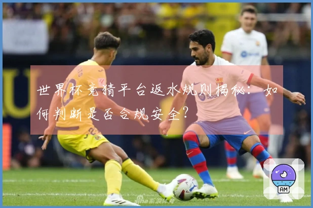 世界杯竞猜平台返水规则揭秘：如何判断是否合规安全？