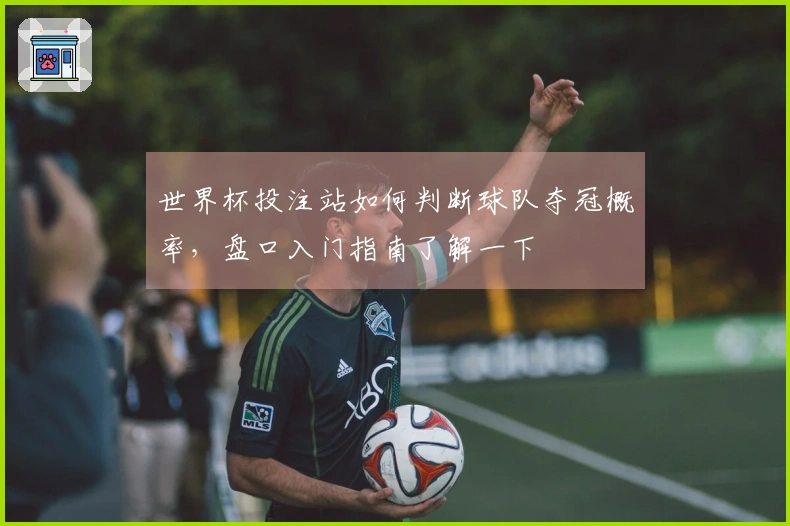 世界杯投注站如何判断球队夺冠概率，盘口入门指南了解一下