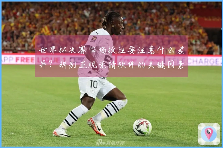 世界杯决赛临场投注要注意什么差异？辨别正规竞猜软件的关键因素