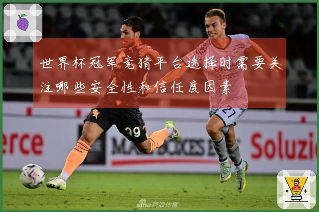 世界杯冠军竞猜平台选择时需要关注哪些安全性和信任度因素