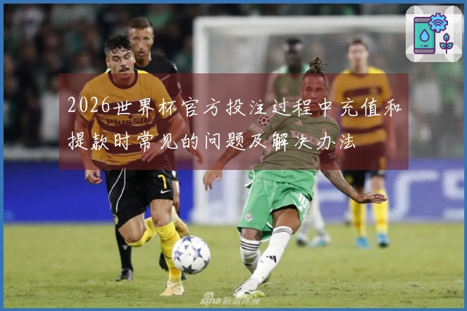2026世界杯官方投注过程中充值和提款时常见的问题及解决办法