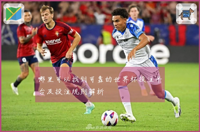 哪里可以找到可靠的世界杯投注平台及投注规则解析