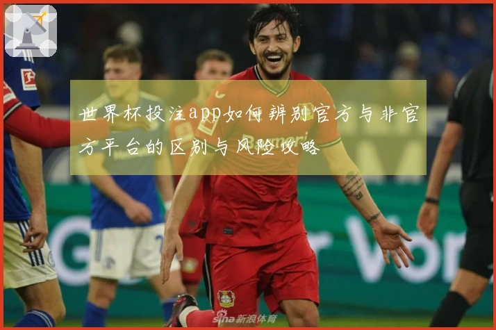 世界杯投注app如何辨别官方与非官方平台的区别与风险攻略