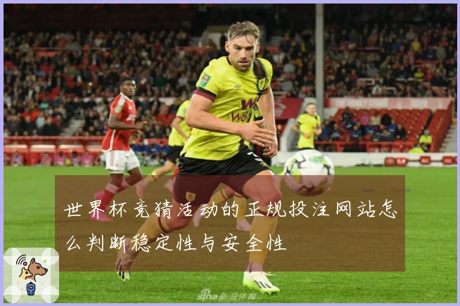 世界杯竞猜活动的正规投注网站怎么判断稳定性与安全性