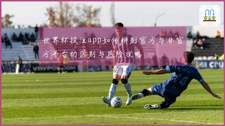 世界杯投注app如何辨别官方与非官方平台的区别与风险攻略