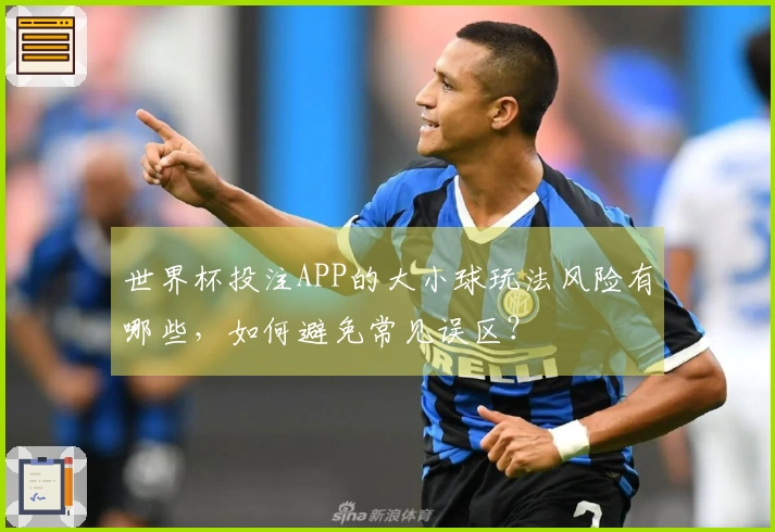 世界杯投注APP的大小球玩法风险有哪些，如何避免常见误区？