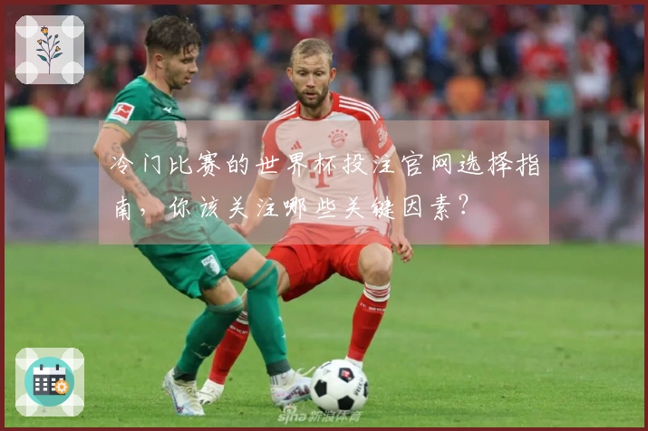 冷门比赛的世界杯投注官网选择指南,你该关注哪些关键因素?