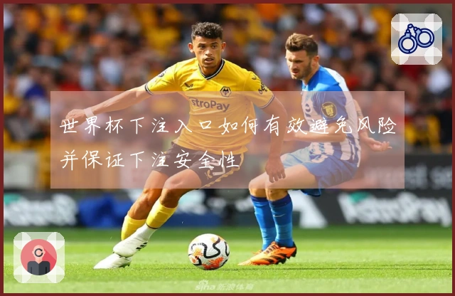 世界杯下注入口如何有效避免风险并保证下注安全性