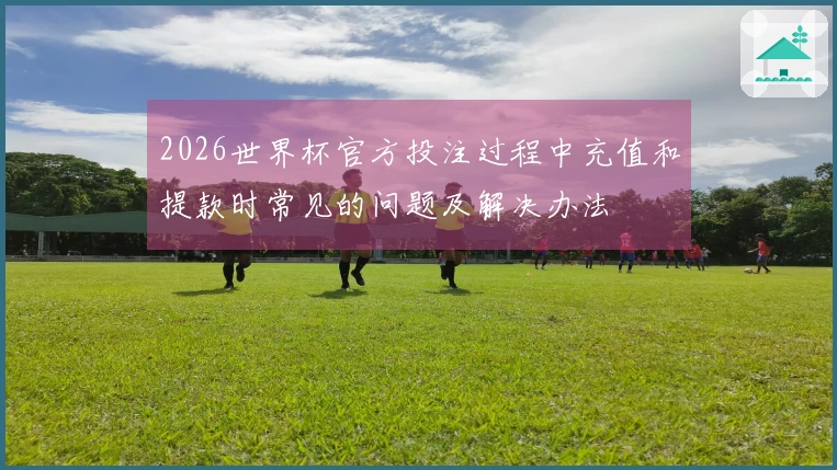 2026世界杯官方投注过程中充值和提款时常见的问题及解决办法