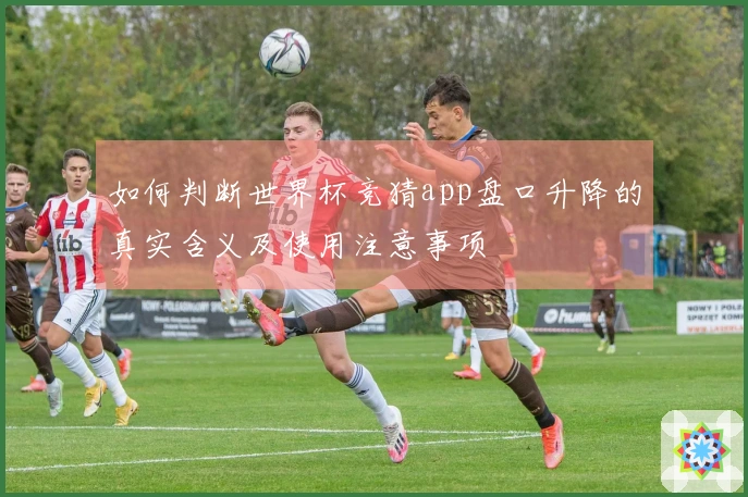 如何判断世界杯竞猜app盘口升降的真实含义及使用注意事项