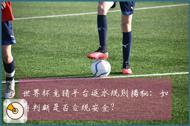 世界杯竞猜平台返水规则揭秘：如何判断是否合规安全？