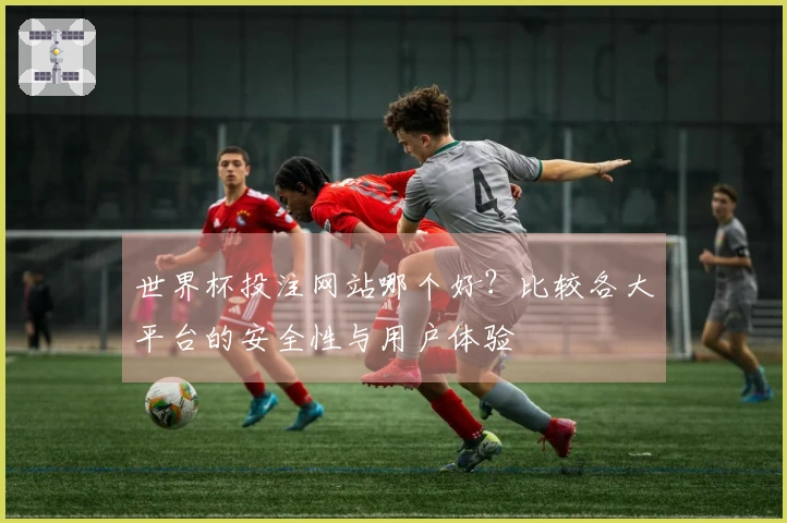 世界杯投注网站哪个好？比较各大平台的安全性与用户体验