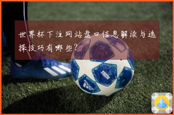 世界杯下注网站盘口信息解读与选择技巧有哪些？