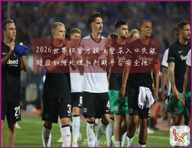 2026世界杯官方投注登录入口失效时应如何处理和判断平台安全性