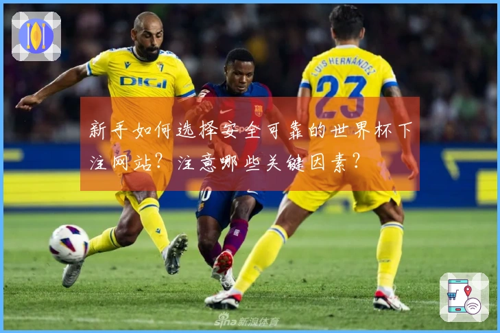 新手如何选择安全可靠的世界杯下注网站？注意哪些关键因素？