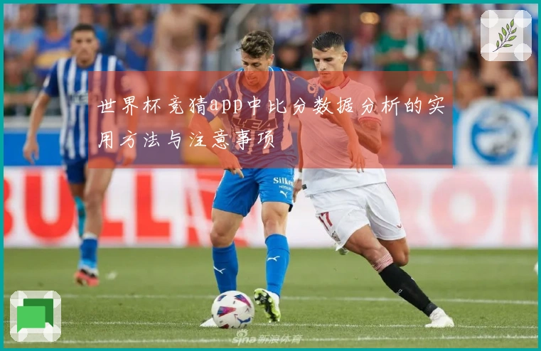 世界杯竞猜app中比分数据分析的实用方法与注意事项