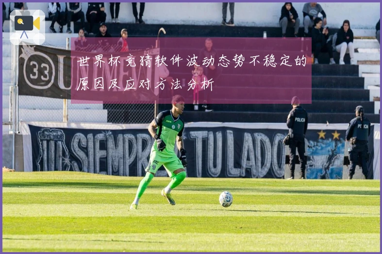 世界杯竞猜软件波动态势不稳定的原因及应对方法分析