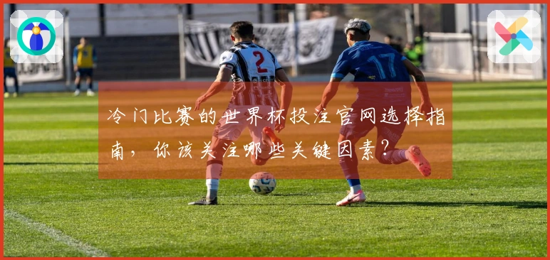 冷门比赛的世界杯投注官网选择指南，你该关注哪些关键因素？