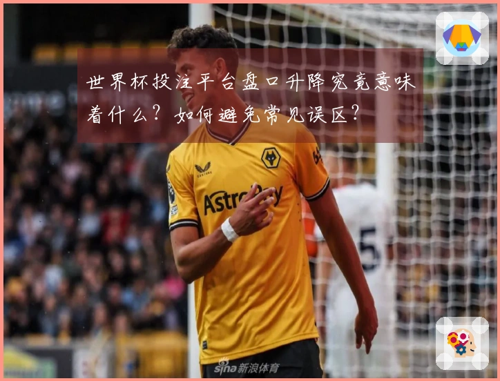 世界杯投注平台盘口升降究竟意味着什么？如何避免常见误区？