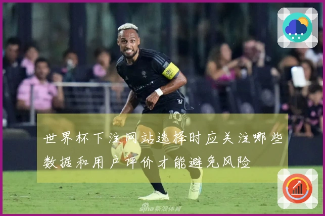 世界杯下注网站选择时应关注哪些数据和用户评价才能避免风险