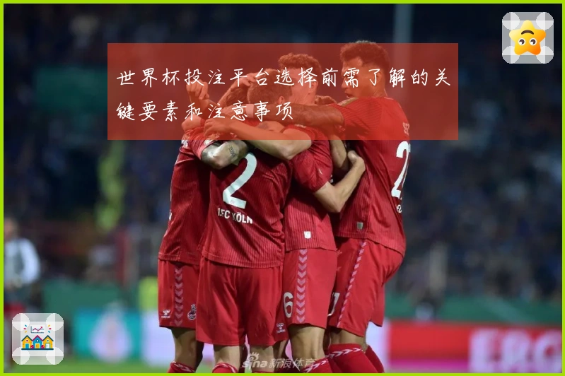 世界杯投注平台选择前需了解的关键要素和注意事项