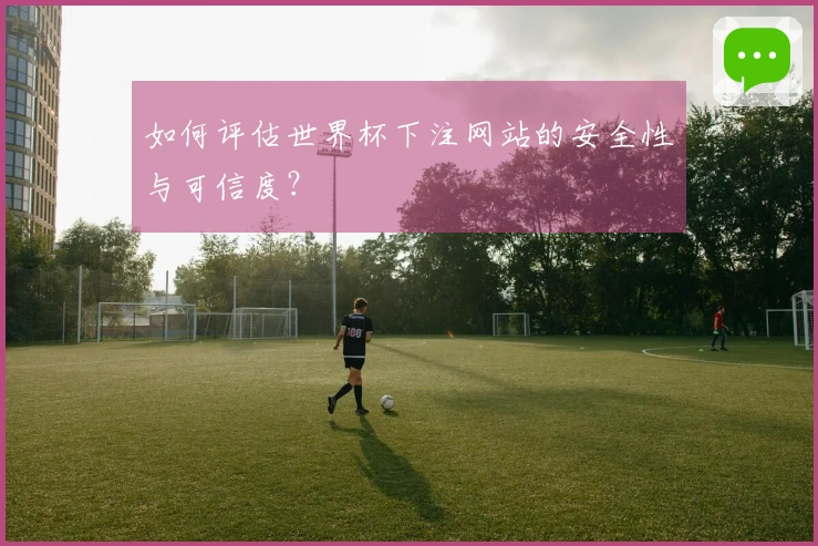 如何评估世界杯下注网站的安全性与可信度？