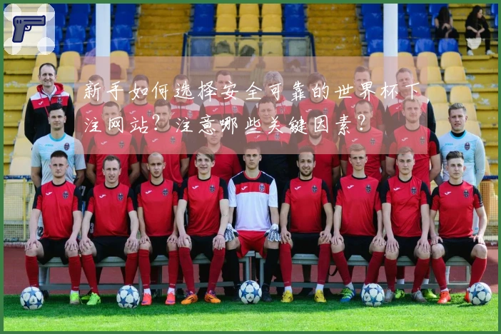 新手如何选择安全可靠的世界杯下注网站？注意哪些关键因素？